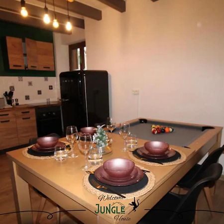 Maison "Jungle House" 90 M2 Billard, Retroprojecteur, Bar A Jeux , Vinyle, Wifi Fibre, Ideal Pro & Famille A Montbrison Buitenkant foto